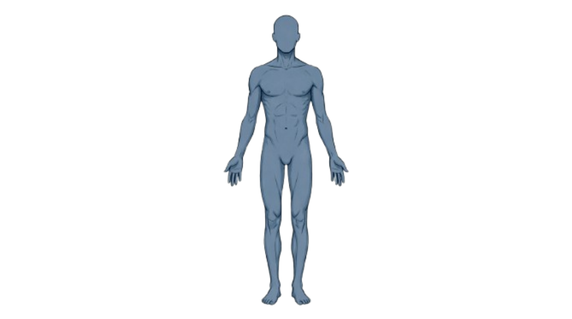 Ectomorfo