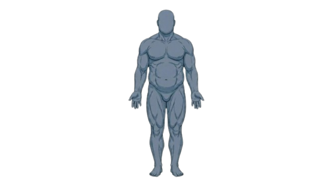 Endomorfo